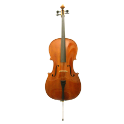 Primo C544 Cello 4/4 Outfit Standard